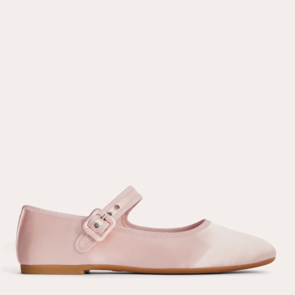 Everlane brand New Mary Jane Shoes